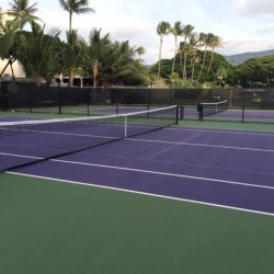 Purple Tennis Court with Pickleball Lines